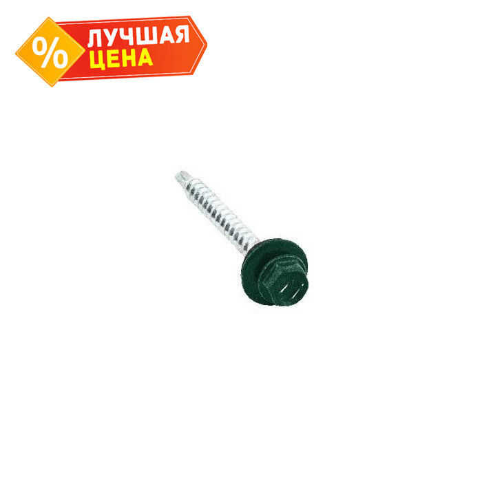 Саморезы 4,8х50 RAL 6005 (100 шт) (Даксмер)